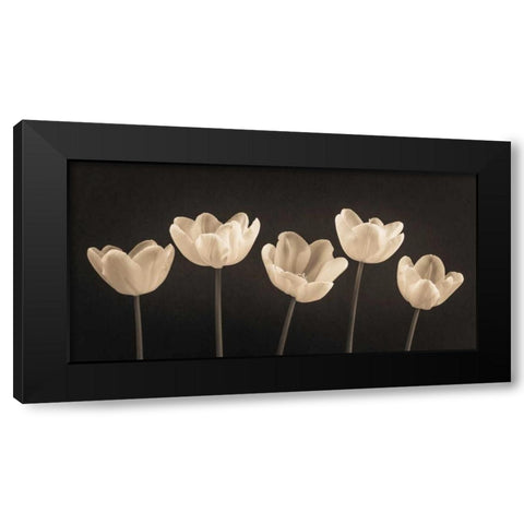 Five Tulips in a row Black Modern Wood Framed Art Print by Frank, Assaf
