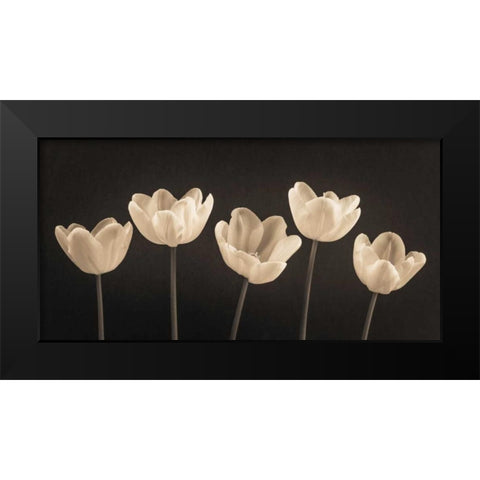 Five Tulips in a row Black Modern Wood Framed Art Print by Frank, Assaf