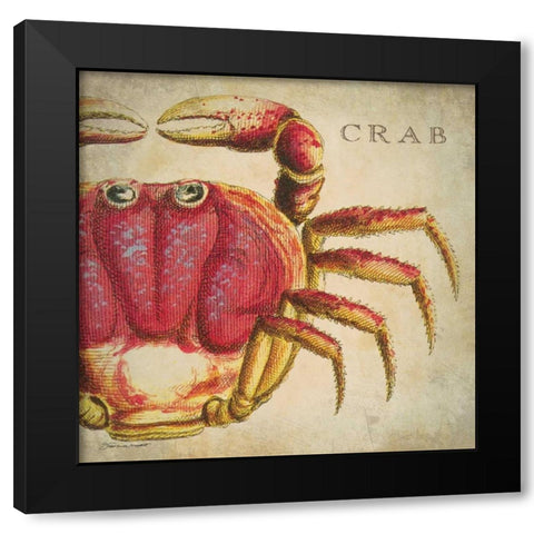 Red Crab Black Modern Wood Framed Art Print with Double Matting by Marrott, Stephanie