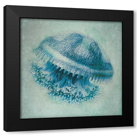 Jelly Fish II Black Modern Wood Framed Art Print with Double Matting by Marrott, Stephanie