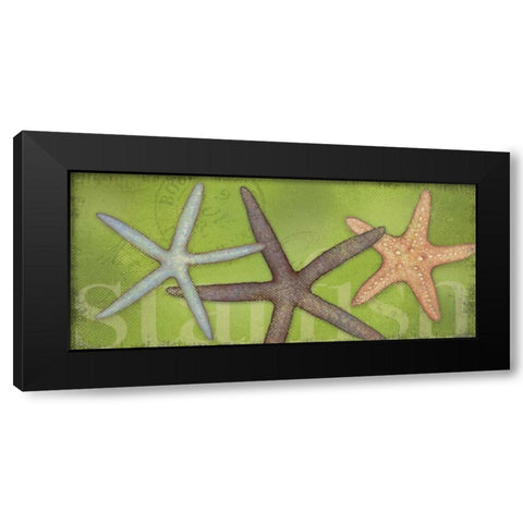 Star Fish Black Modern Wood Framed Art Print with Double Matting by Marrott, Stephanie