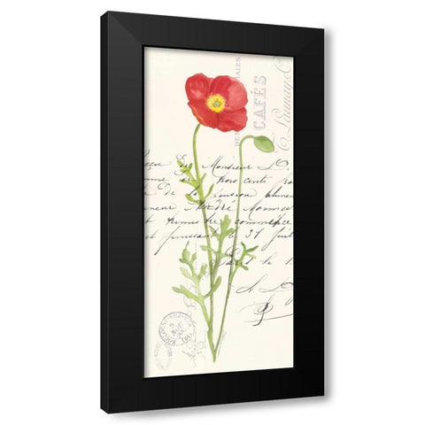 Poppy II Black Modern Wood Framed Art Print with Double Matting by Marrott, Stephanie