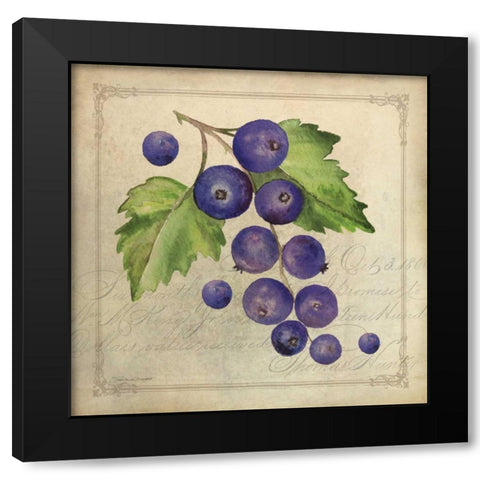 Blueberry Collage Black Modern Wood Framed Art Print with Double Matting by Marrott, Stephanie