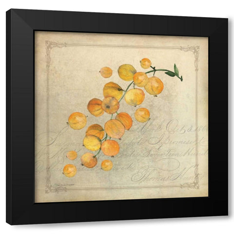 Yellow Berries Black Modern Wood Framed Art Print by Marrott, Stephanie