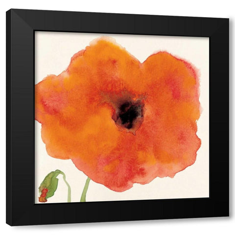 Poppy I Black Modern Wood Framed Art Print with Double Matting by Marrott, Stephanie