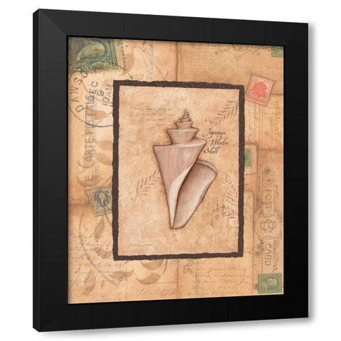 Wonder Shell Black Modern Wood Framed Art Print with Double Matting by Marrott, Stephanie