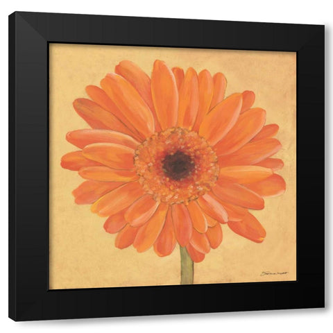 Gerber I Black Modern Wood Framed Art Print with Double Matting by Marrott, Stephanie