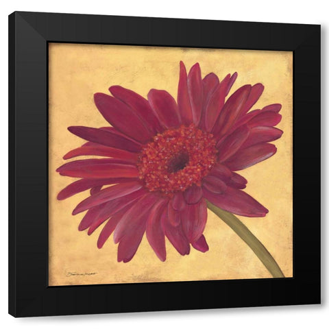 Gerber III Black Modern Wood Framed Art Print with Double Matting by Marrott, Stephanie