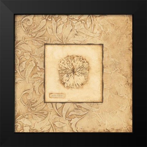 Rose Coral Black Modern Wood Framed Art Print by Marrott, Stephanie