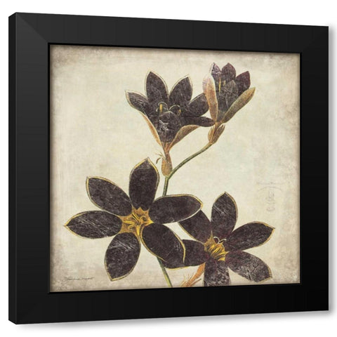 Purple Flower Black Modern Wood Framed Art Print with Double Matting by Marrott, Stephanie