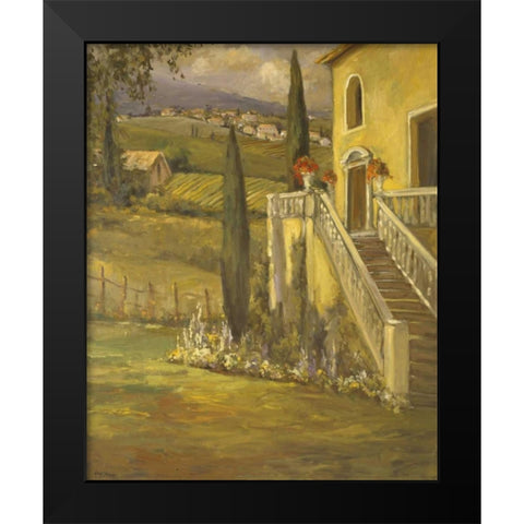 Latin Calm II Black Modern Wood Framed Art Print by Stevens, Allayn