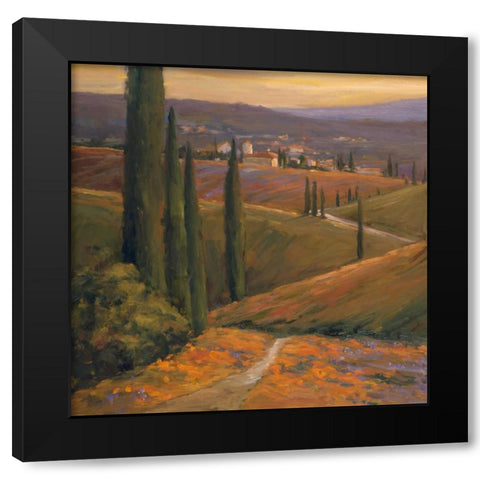 Afternoon Walk I Black Modern Wood Framed Art Print by Stevens, Allayn