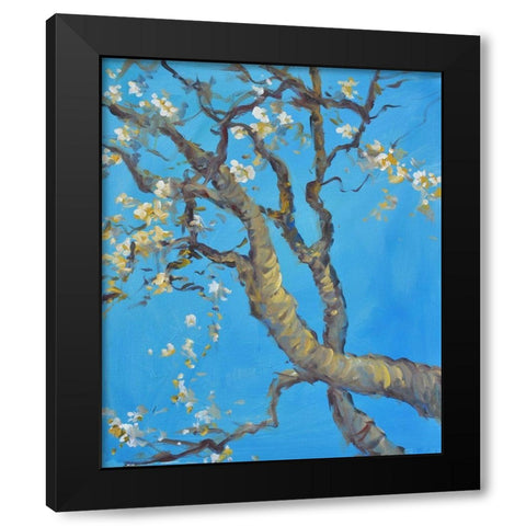 Cherry Blossom -1 Black Modern Wood Framed Art Print with Double Matting by Stevens, Allayn