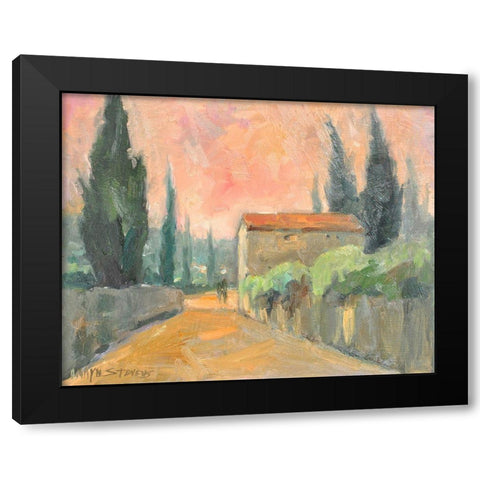 Tuscan Farm Black Modern Wood Framed Art Print by Stevens, Allayn