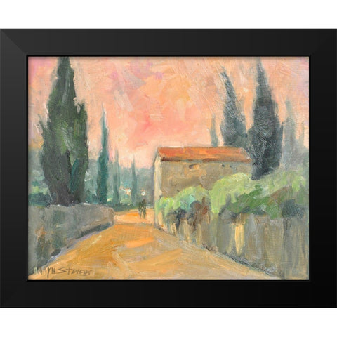 Tuscan Farm Black Modern Wood Framed Art Print by Stevens, Allayn