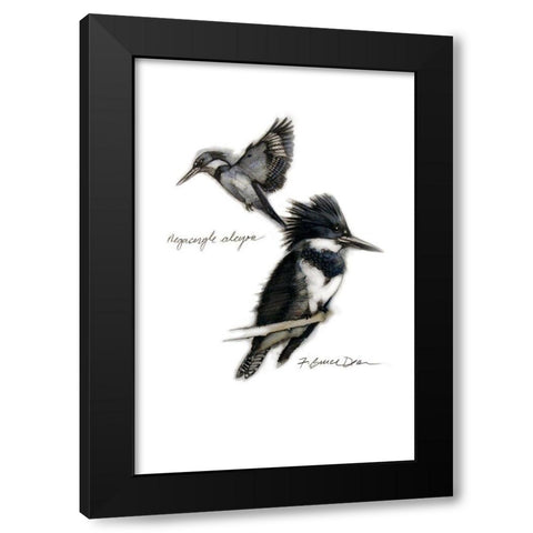 Chickadee Black Modern Wood Framed Art Print with Double Matting by Dean, Bruce