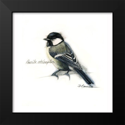 Belted Kingfisher Black Modern Wood Framed Art Print by Dean, Bruce
