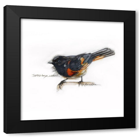 American RedstaRT Black Modern Wood Framed Art Print with Double Matting by Dean, Bruce