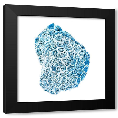 Blue Coral Black Modern Wood Framed Art Print by Brando, JJ