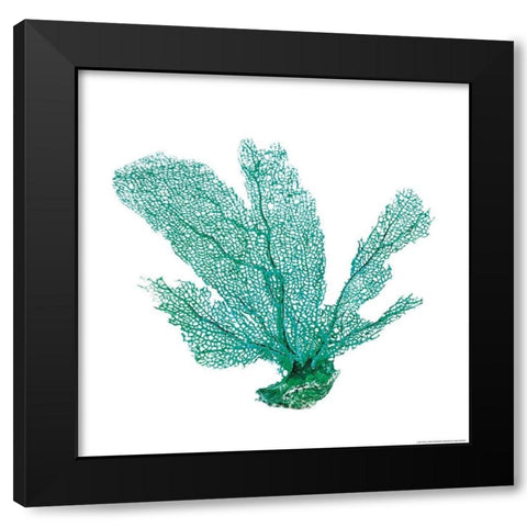 Green Sea Fan Black Modern Wood Framed Art Print with Double Matting by Brando, JJ