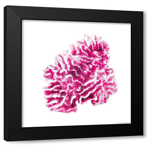 Red Coral Black Modern Wood Framed Art Print by Brando, JJ