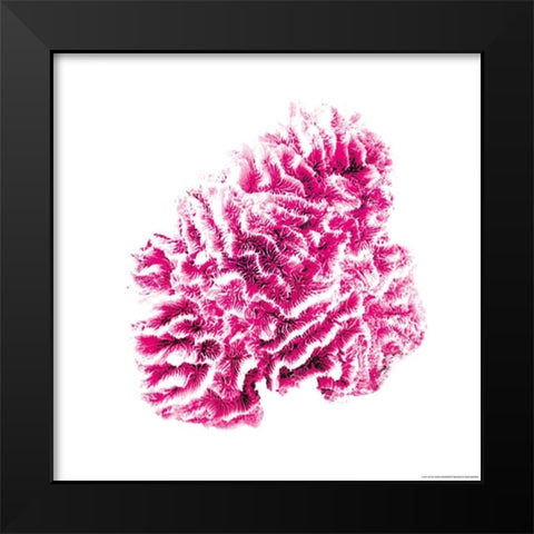 Red Coral Black Modern Wood Framed Art Print by Brando, JJ