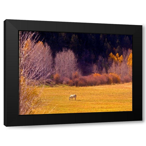 Horse Pasture Black Modern Wood Framed Art Print by Linden, Sally