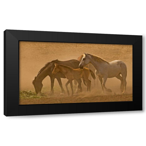 Daybreak Black Modern Wood Framed Art Print with Double Matting by Linden, Sally
