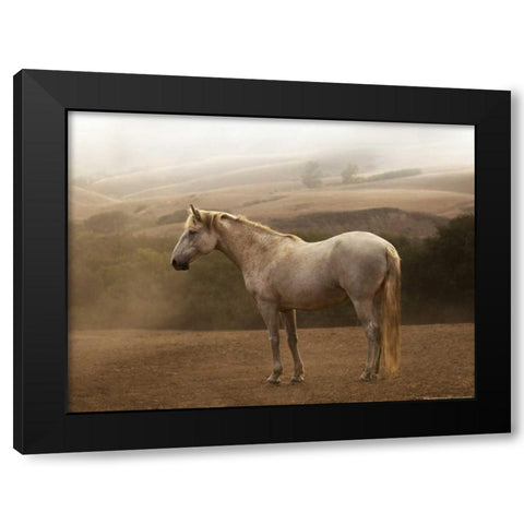 Morning Mist Black Modern Wood Framed Art Print with Double Matting by Linden, Sally