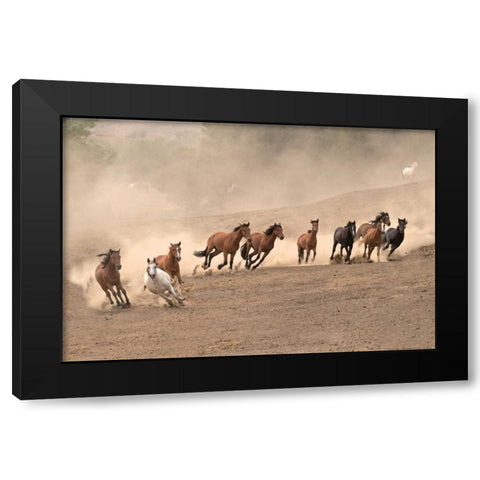 Running Wild Black Modern Wood Framed Art Print with Double Matting by Linden, Sally