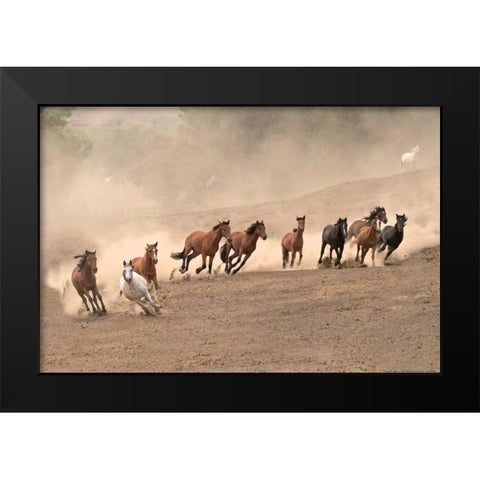 Running Wild Black Modern Wood Framed Art Print by Linden, Sally