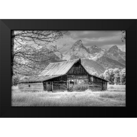 Sign Of The Feather Black Modern Wood Framed Art Print by Linden, Sally