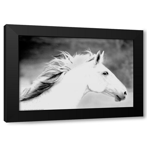 Mane In The Wind Black Modern Wood Framed Art Print with Double Matting by Linden, Sally