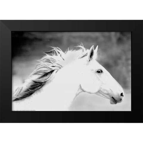 Mane In The Wind Black Modern Wood Framed Art Print by Linden, Sally