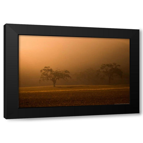 Sun Rising Black Modern Wood Framed Art Print by Linden, Sally