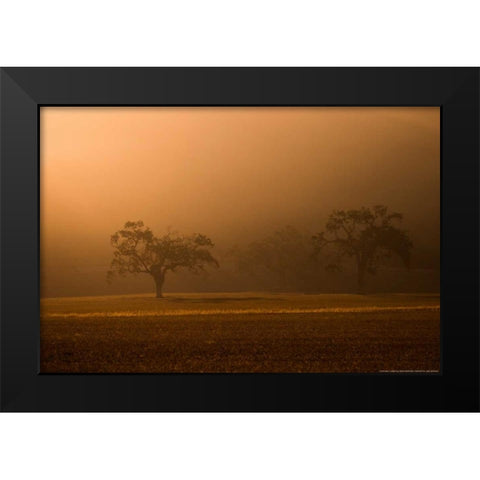 Sun Rising Black Modern Wood Framed Art Print by Linden, Sally
