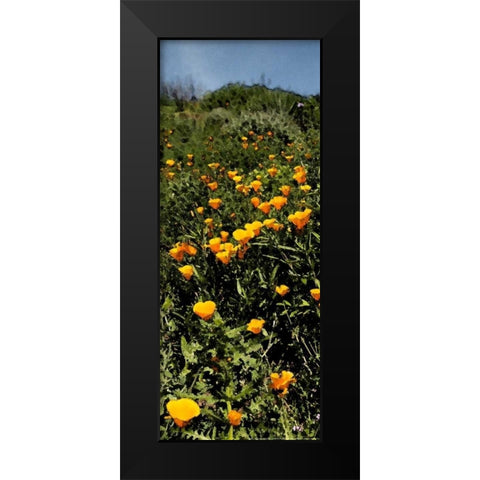 Poppy Stream Black Modern Wood Framed Art Print by Linden, Sally