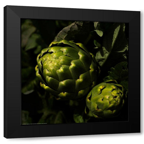 Green Artichokes Black Modern Wood Framed Art Print by Linden, Sally