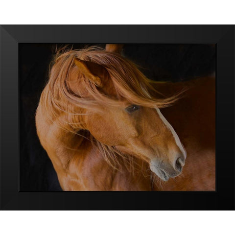 Beautiful Mane Black Modern Wood Framed Art Print by Linden, Sally