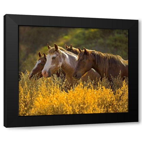 Horses In Gold Black Modern Wood Framed Art Print with Double Matting by Linden, Sally