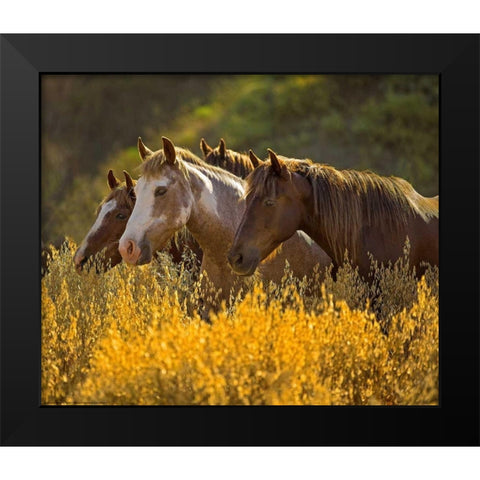 Horses In Gold Black Modern Wood Framed Art Print by Linden, Sally