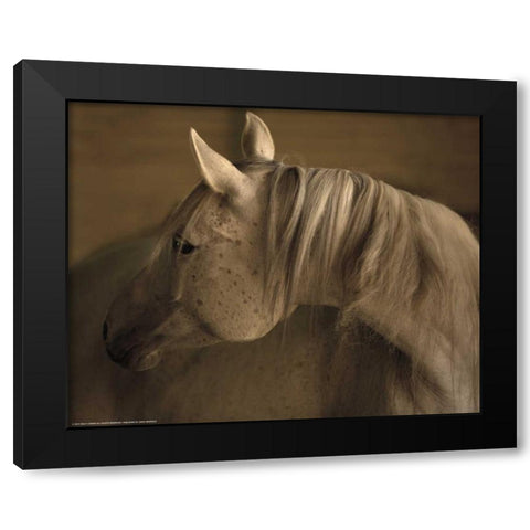 Light At Dusk Black Modern Wood Framed Art Print by Linden, Sally