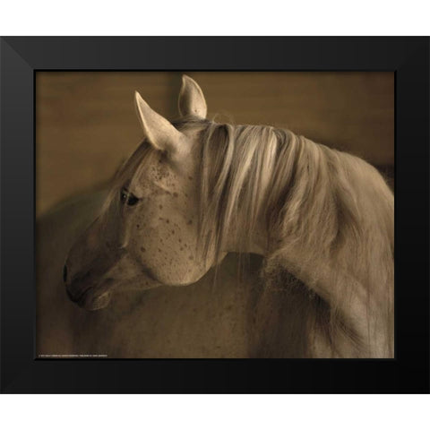 Light At Dusk Black Modern Wood Framed Art Print by Linden, Sally