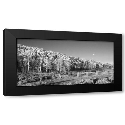 Aspens Moon Black Modern Wood Framed Art Print with Double Matting by Linden, Sally