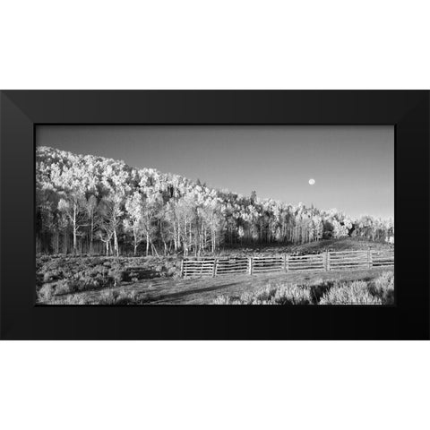 Aspens Moon Black Modern Wood Framed Art Print by Linden, Sally