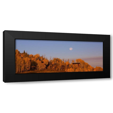 Fall Trees Moon 2 Black Modern Wood Framed Art Print by Linden, Sally