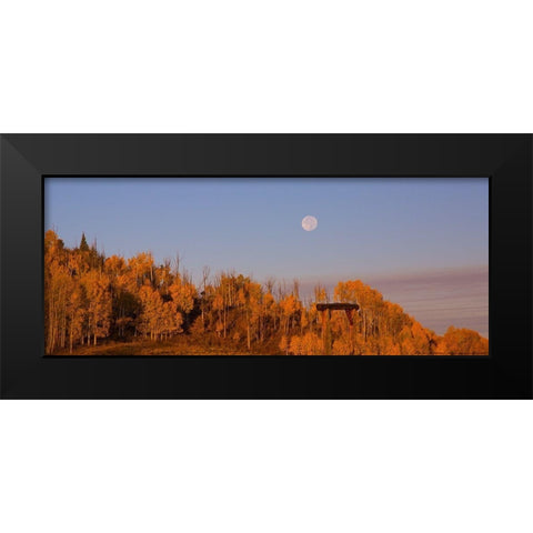 Fall Trees Moon 2 Black Modern Wood Framed Art Print by Linden, Sally