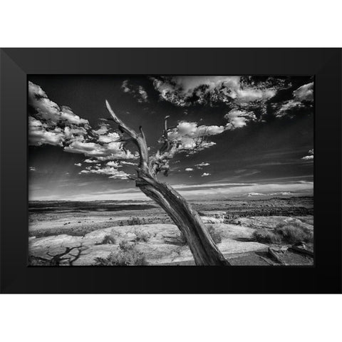 Desert Tree Black Modern Wood Framed Art Print by Linden, Sally