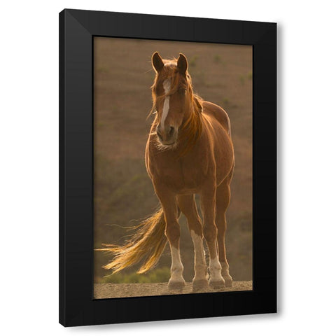 Blowing In The Wind Black Modern Wood Framed Art Print by Linden, Sally