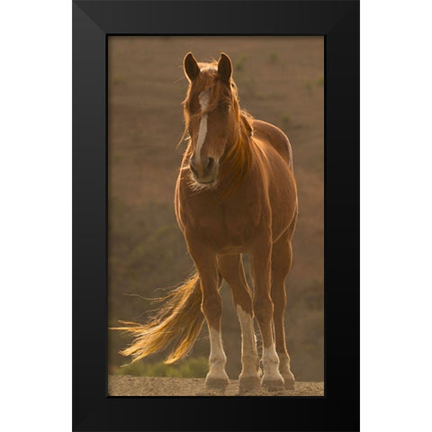 Blowing In The Wind Black Modern Wood Framed Art Print by Linden, Sally